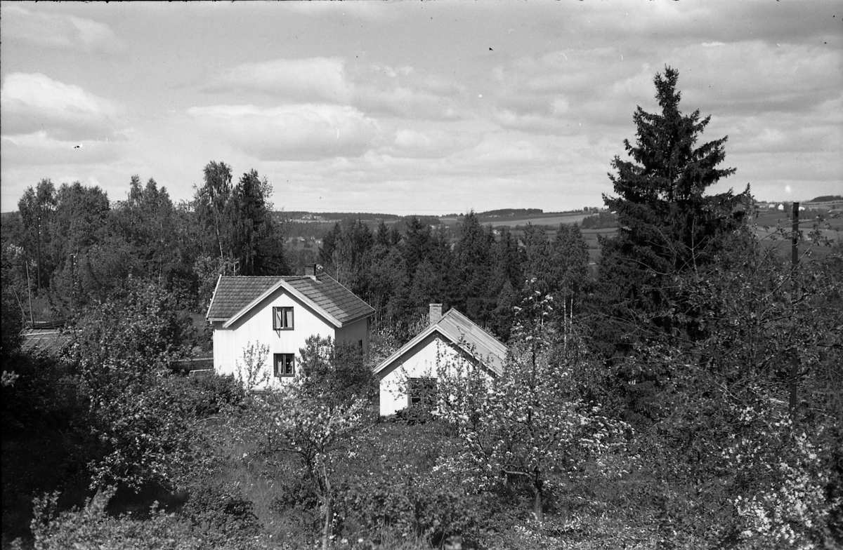 Holje på Skreia (Rossgutua 91) juli 1950. Eiendommen var eid av stasjonsmester Hans Olstad. Åtte bilder.