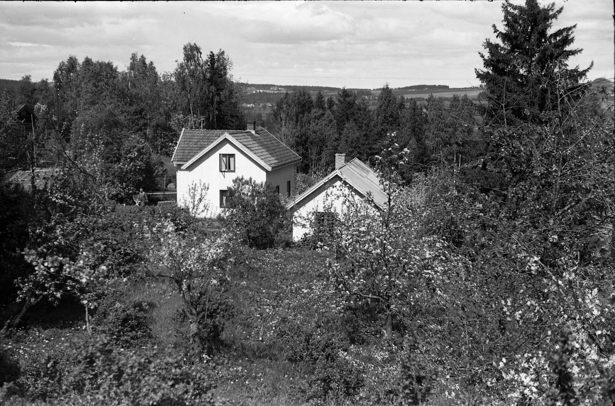 Holje på Skreia (Rossgutua 91) juli 1950. Eiendommen var eid av stasjonsmester Hans Olstad. Åtte bilder.