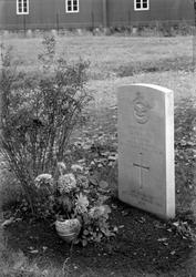 Sergeant Douglas Francis, gravsted på Stavne krigskirkegård