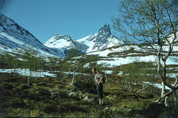 Mot Romsdalshorn fra Vengedalen.