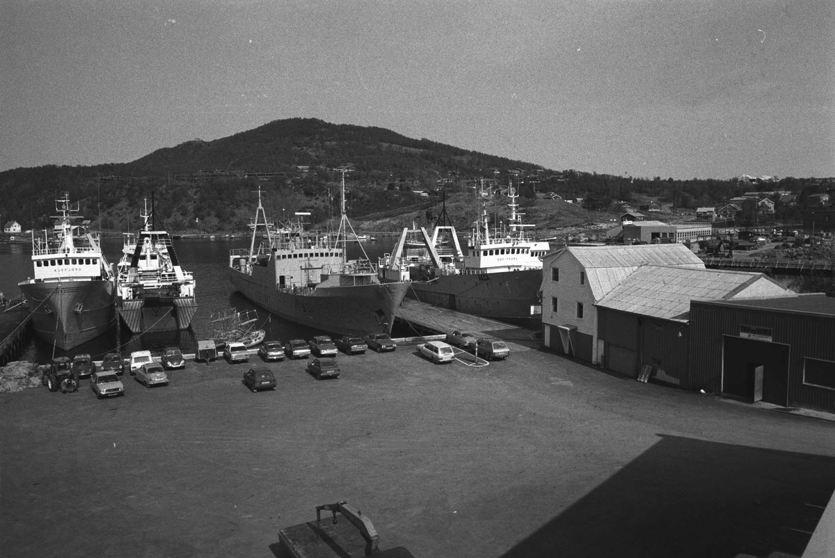 Fartøyer ved anlegget til Ytre Rolløya Fiskarsamvirke på Langneset.