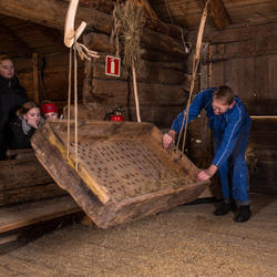 Tresking i Hammervoll-løa med Bjørn Austigard.