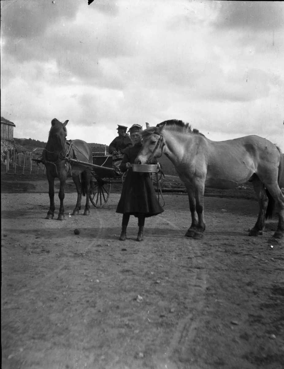 Rikard Berges fotoarkiv. Portretter, gruppebilder, landskap, fjellturer. Bilde nr. 4

Fotografier tatt av Rikard Berge. 642 nummer. Samlingen består av negativer bladfilm. Motivene er ført inn i egen protokoll av Berge. Protokollen har tittel "Bilæt-emne"