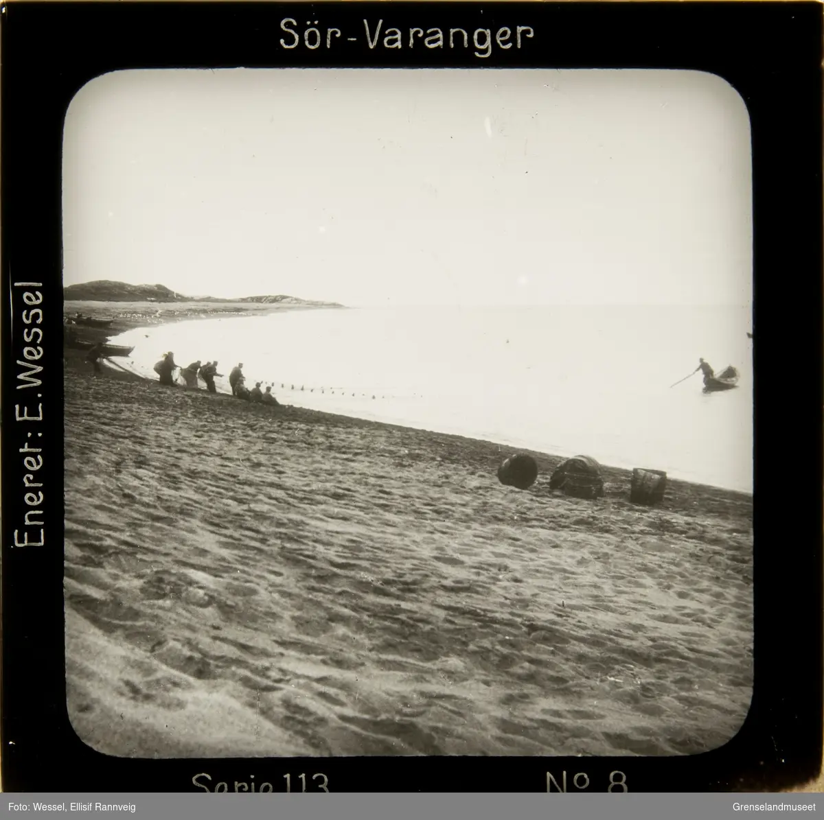 Siilfangst med dragnot utenfor elvemunningen i Grense Jakobselv 1905.