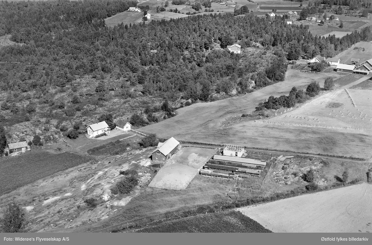 Andersrød i Råde.  Flyfoto 1956. Pelsdyrfarm.