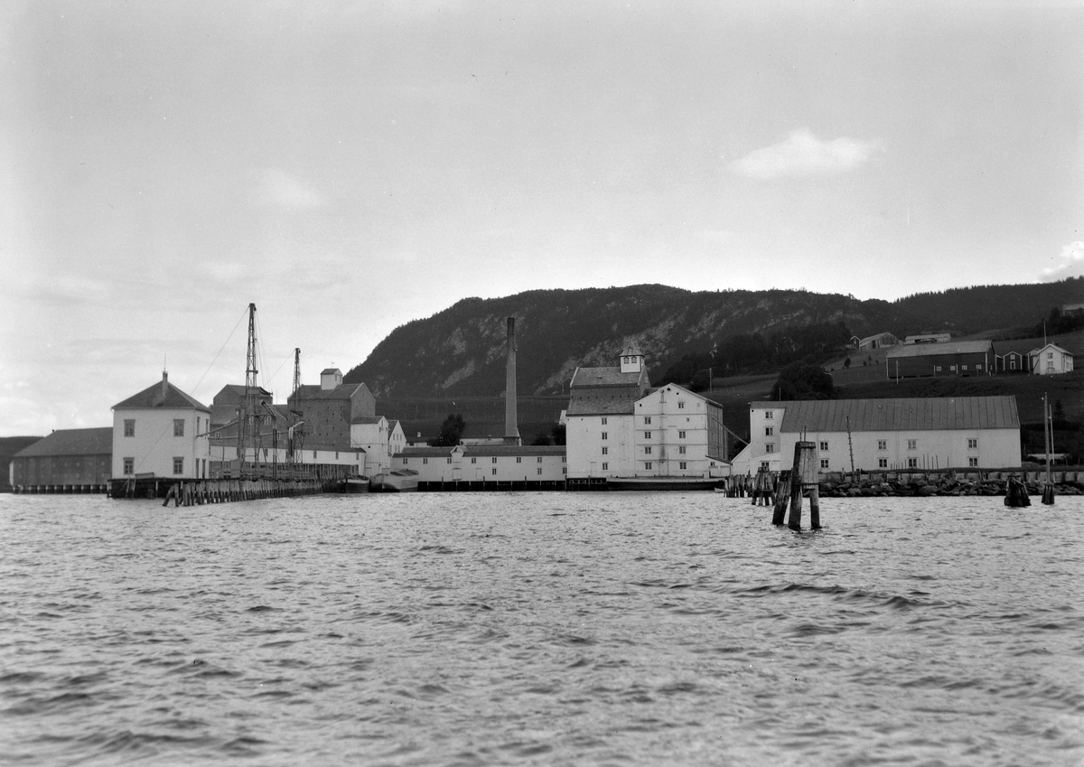 I. C. Piene & Søn i Buvika