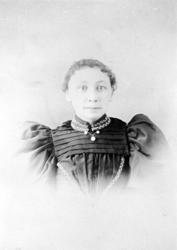 PortrettB, kvinne, puffarmar, Amerika, kjole,