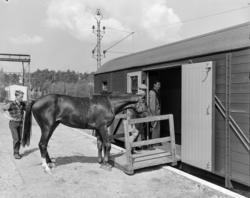 Ny hestevogn litra Gh4 nr. 1250, ombygget fra en tysk verkst