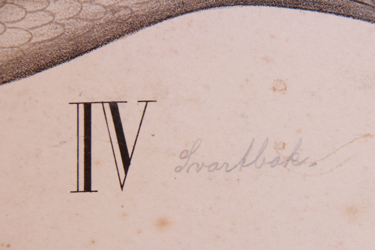 Detaljer av ulike ender.