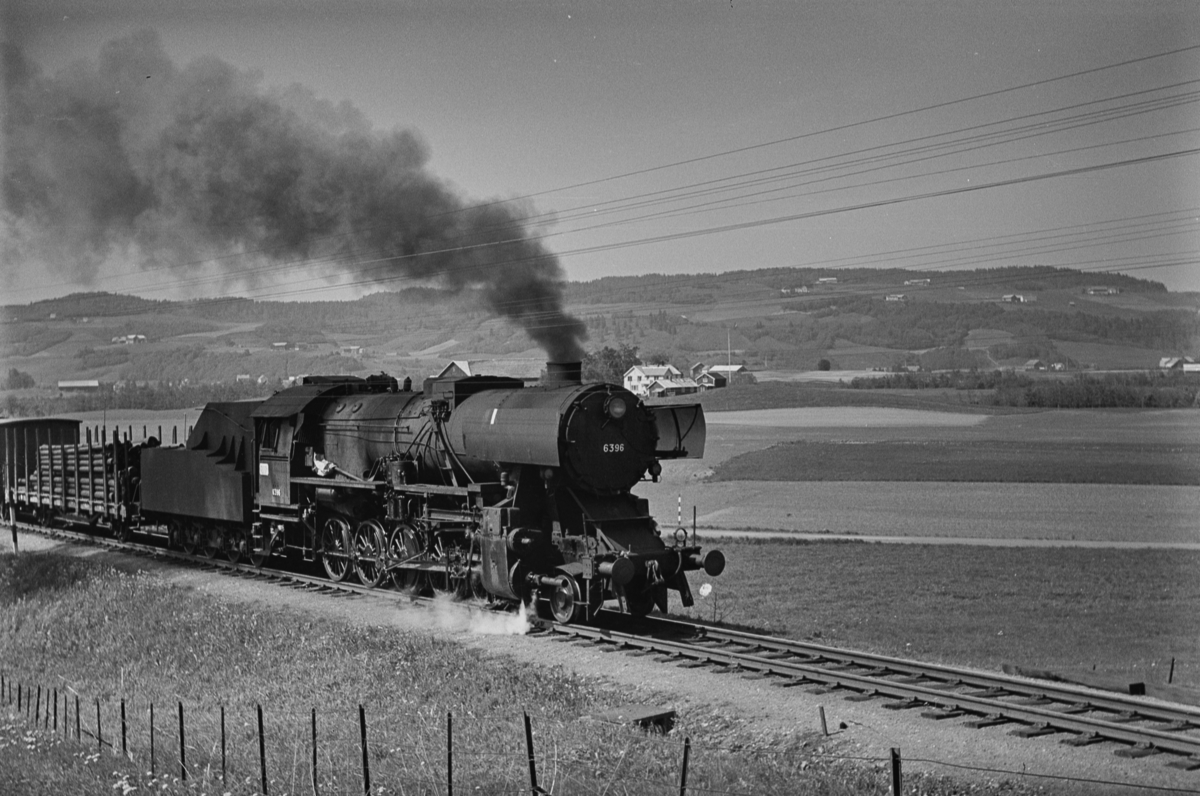 Godstog retning Trondheim ved Lerli holdeplass. Toget trekkes av damplokomotiv type 63a nr. 6396.