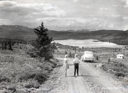 Vaset, Vestre Slidre, Valdres.