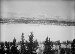 Fefor Ruten, 12.03.1914, fjell, islagt vann, hytte, grantrær