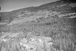 Granmo gård (usikker), Øyer, 16.07.1959, li, kulturlandskap,