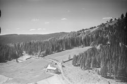 Ukjent bruk ved vei, Øyer, jordbruk, slåttonn, hesjing, blan