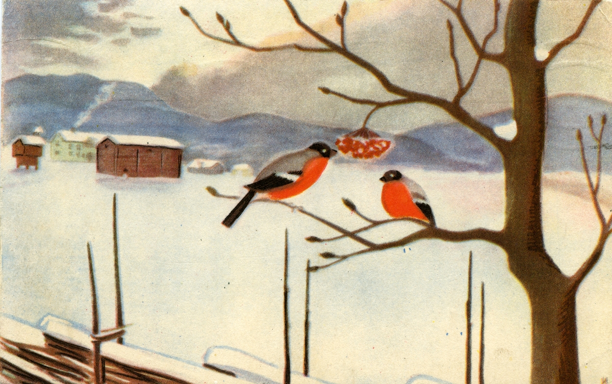 Postkort. Julehilsen. Vinterlandskap. Et gårdstun sees i bakgrunnen. I forgrunnen sitter det to dompapper i et tre. Stemplet 23.12.1948.
