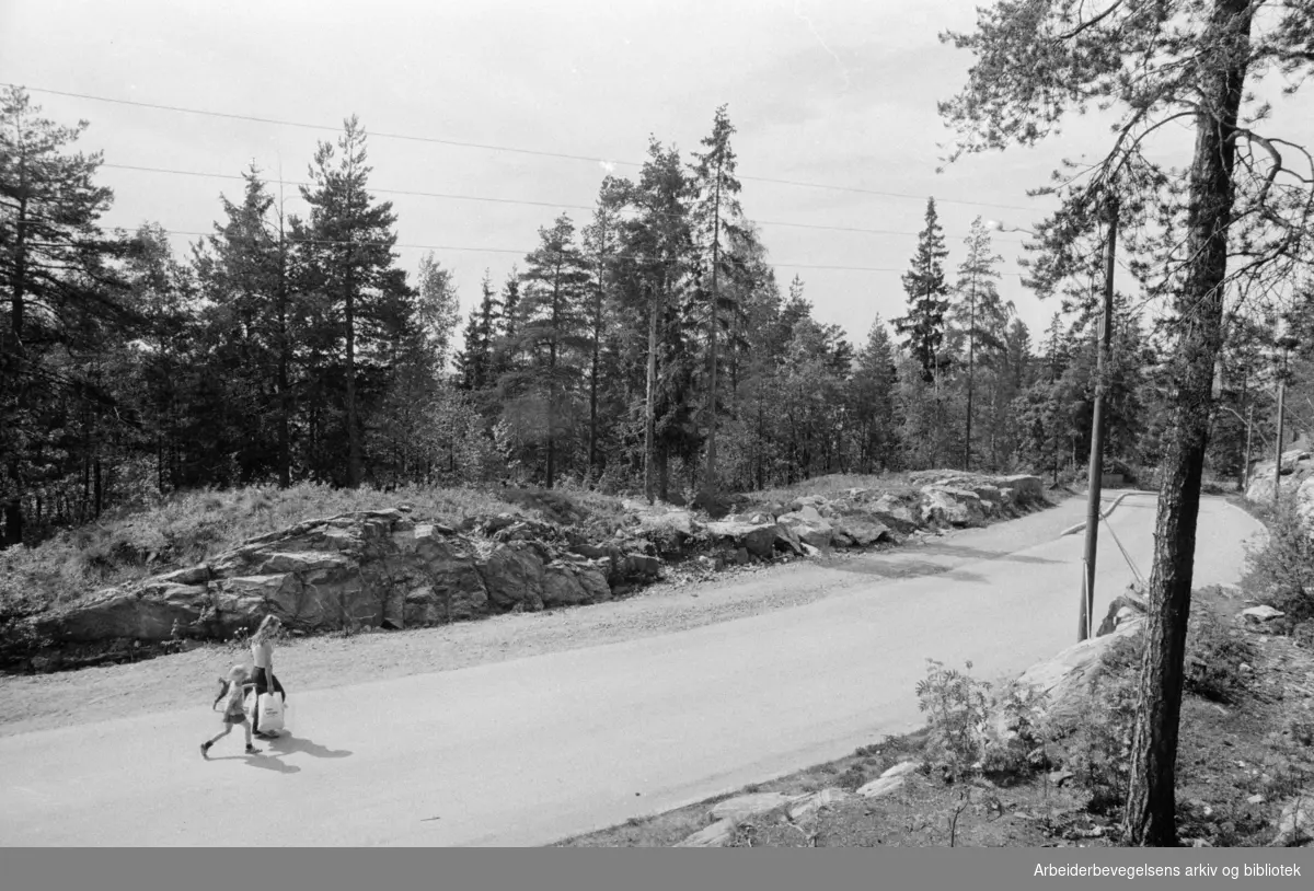 Tokerud: Utbygningsområdet ligger sør for Vesthellinga borettslag. Mai 1975