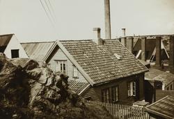 Risøen sett mot  nordvest ca.1938
