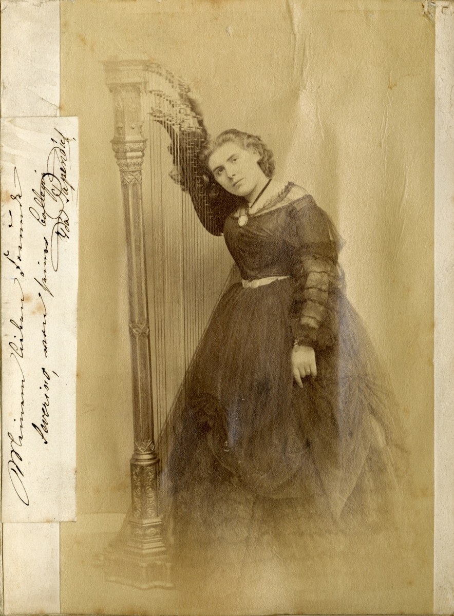 Fotoalbum etter Lorentz Severin Skougaard.
Lorentz Severin Skougaard (født 11. mai 1837 i Farsund, død 1885 i New York) var en norskfødt tenor. Han var bror til offiseren Johan Skougaard.
I New York, hvor Skougaard senere døde, ble han en fetert sangpedagog. Hans gravminne ses på Langesund kirkegård i Telemark.