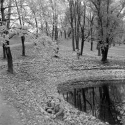 St.Hanshaugen. Oktober 1952