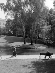 St.Hanshaugen. August 1953