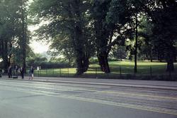 Drammenveien langs Slottsparken.