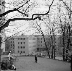 Ullevål sykehus moderniserer og lager nytt. November 1965