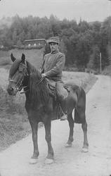 Militær, rytter, soldat, hest, veg