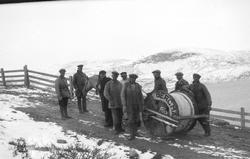 Kabelutlegging, gruppeU9, hest, veg, gjerde, arbeidsliv, vin