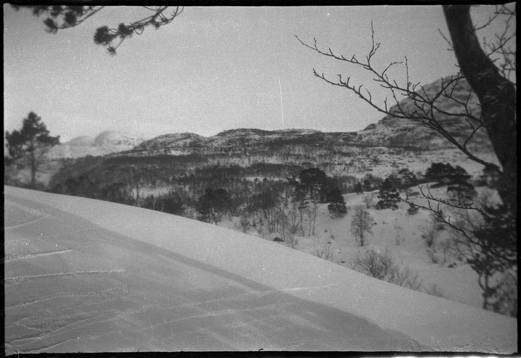 Per og Alf Årseth, Børre Børresen og Sigurd Hamre i tillegg til fotografen på skitur i nærheten av Fjellberg i Suldal. Det er bilder fra ulike sel, ei bu de overnattet i og fra fjellet.