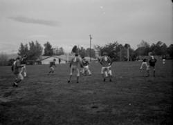 ."Molde FK, MFK, Molde fotballklubb"