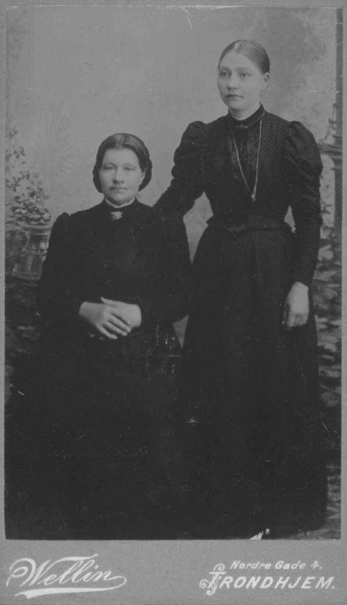 Album med portrettbilder. Albumet har tilhørt Aksel Konrad Mikkola og hans hustru Kathinka Marie, f. Mikkelsen. Det er nå i Solbjørg Mikkolas eie. Navnene til de portretterte er for en stor del ukjente, men mange er fra Neiden og Sør-Varanger. Kathinka kom opprinnelig fra Lofoten, og en del av bildene viser hennes familie i Nordland