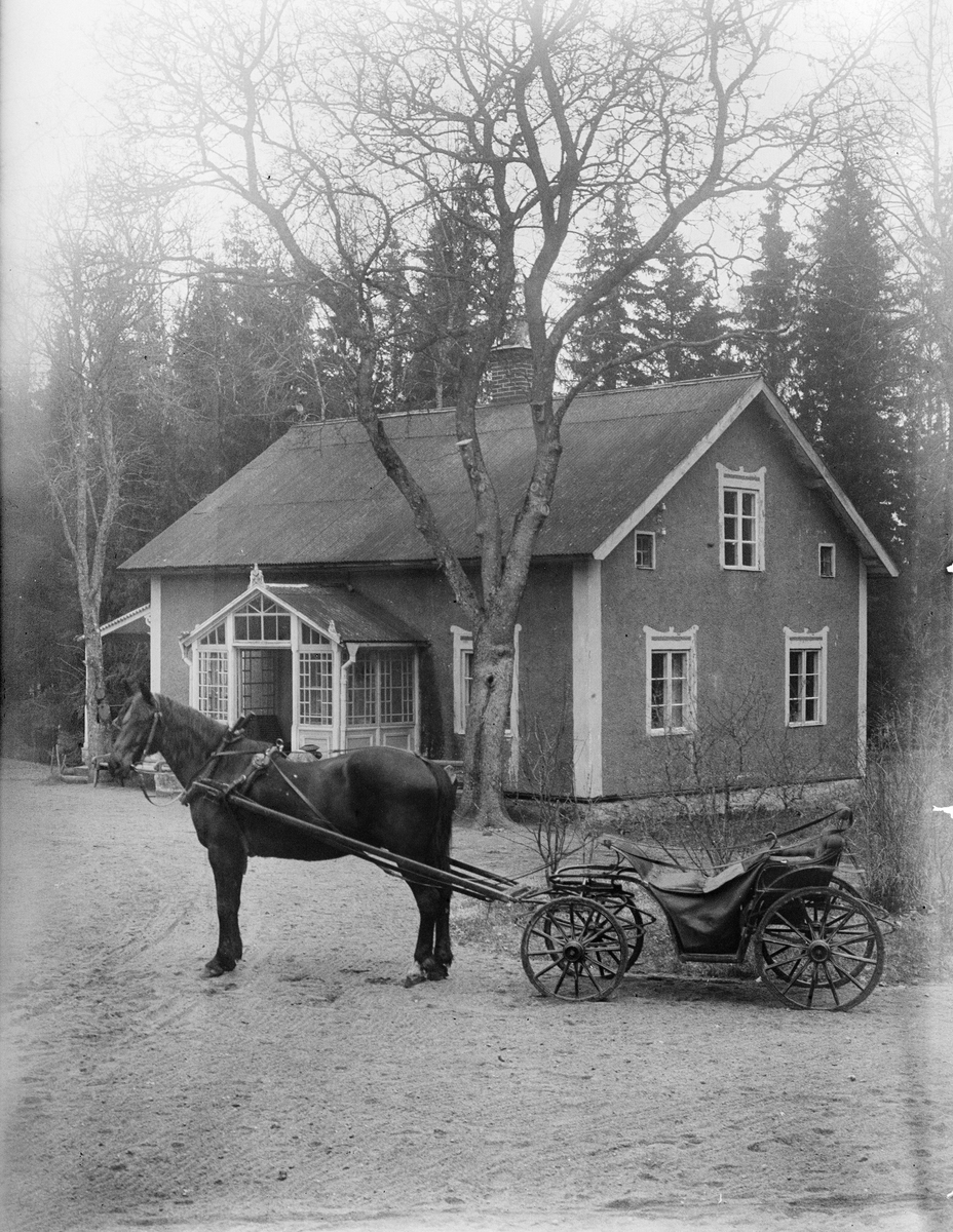Häst och vagn framför hus, Göksbo, Altuna socken, Uppland 1925