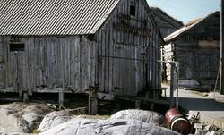 Foto fra noen av naustene på fiskeværet Grip i Kristiansund 