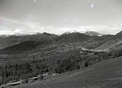 Beito, Øystre Slidre.