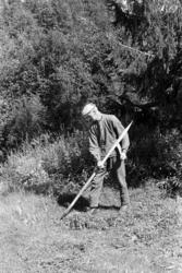 Ljå, slåttonn, arbeidsteknikk, slåttekar, raskeslått,