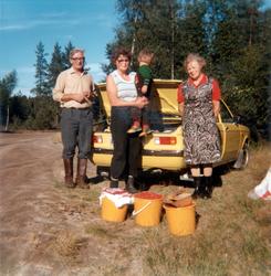 Tyttebærtur i Rømskog 1977. 
Fra venstre trøgstingene Rolf 