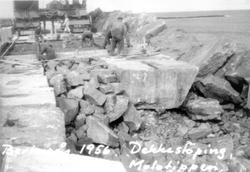 Moloarbeid, Svartoksmoloen.