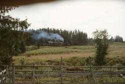 Godstog på Skreiabanen