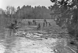 Utrulling av tømmer ved Telneset bru