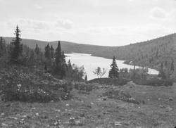 Ringebu. Langtjønnet sett fra skaret.