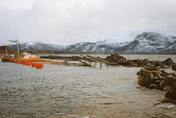 Storflo i Magerøyhamna