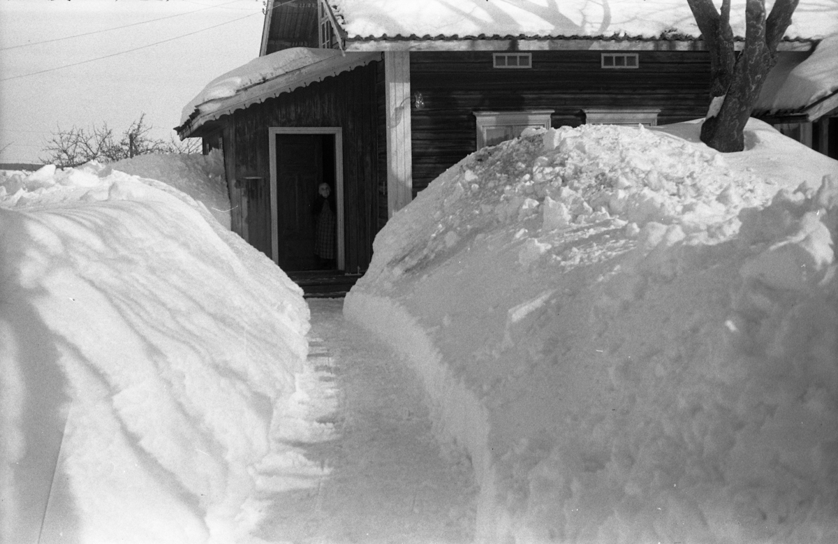 Vintermotiv. Fire bilder fra gangveg med store snømengder inn mot en villa. Stedet er antatt å være Øvre Evangsgutua 21 på Lena, Ø.Toten.
