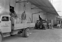 Lasting av lastebiler ved anlegget til I. C. Piene & Søn på 