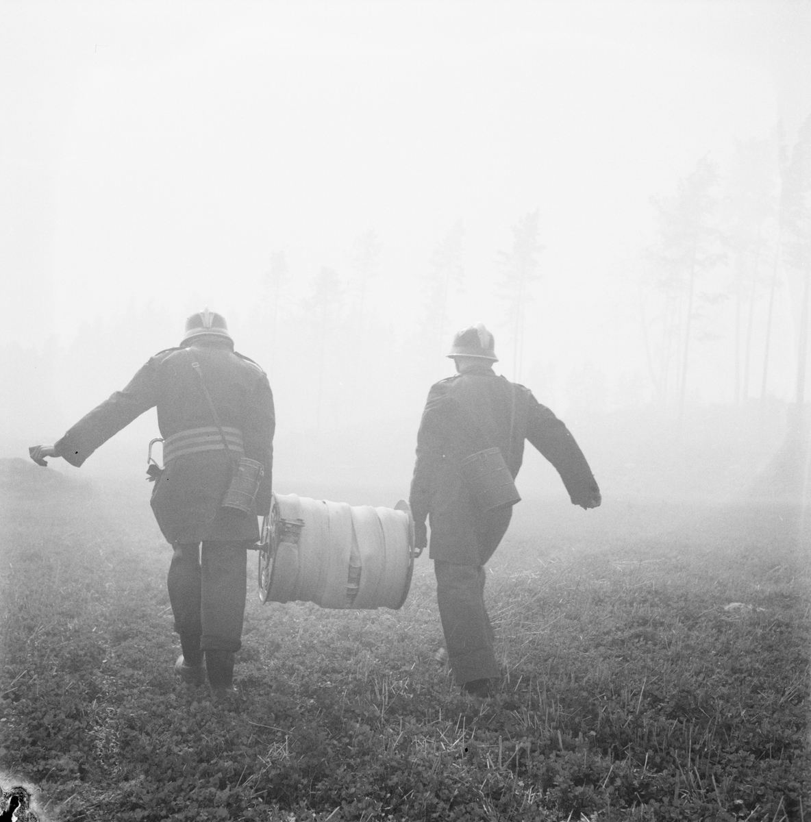 Skogsbrand, Björklinge, Björklinge socken, Uppland 1949