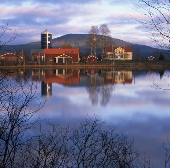 Bortigår´n november 2000. Stor gård med boningshus, ladugård och silo. Den ligger vackert vid vattnet.