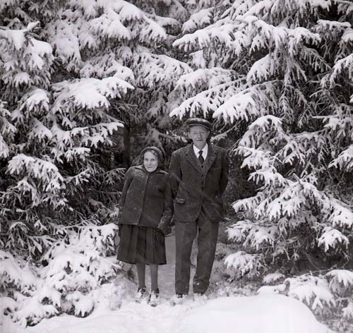 Makarna Jonsson fotograferade i snöyra framför snötyngda granar, Hästberg 1964.