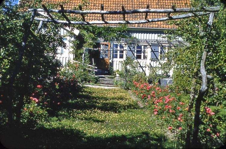 Villa Stäck. Sommarbild 1961. Rosengård.