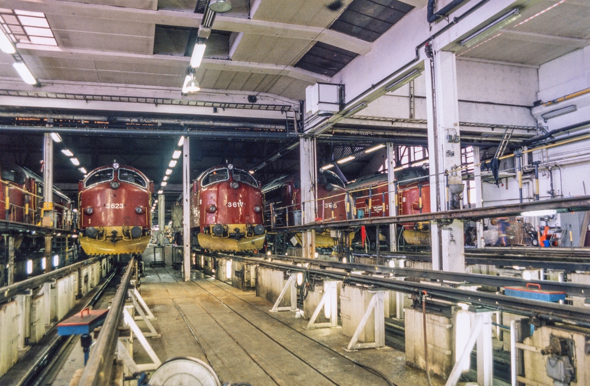 Fra lokomotivstallen på Marienborg i Trondheim. Seks diesellokomotiver type Di 3 og et diesellokomotiv type Di 4 (til høyre).
