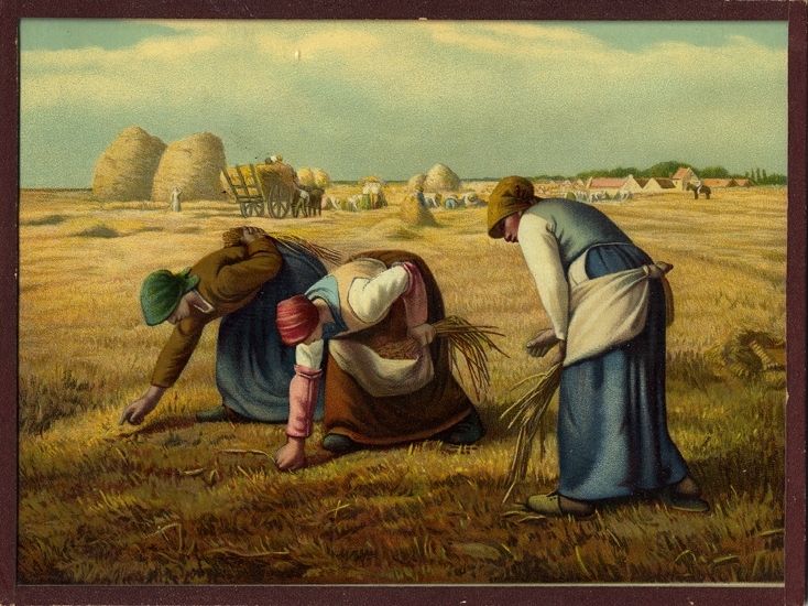 Oljetryck.
Kopia efter konstnären Jean Francois Millets tavla "Sädesplockerskorna" 
från 1857.
Tre kvinnor plockar upp sädesax efter skörden.