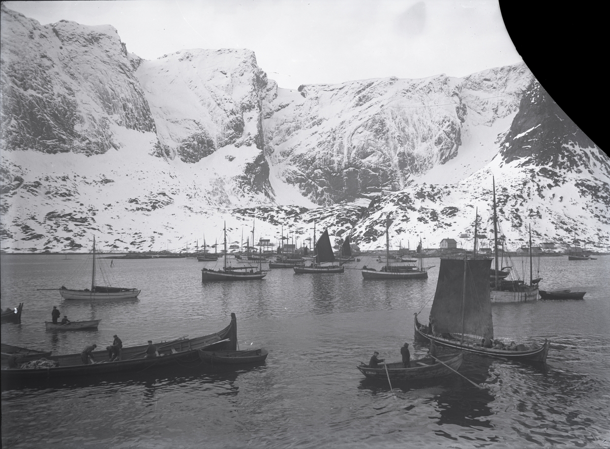 Nordlandsbåter og dekkende fartøyer. Reine i Lofoten.